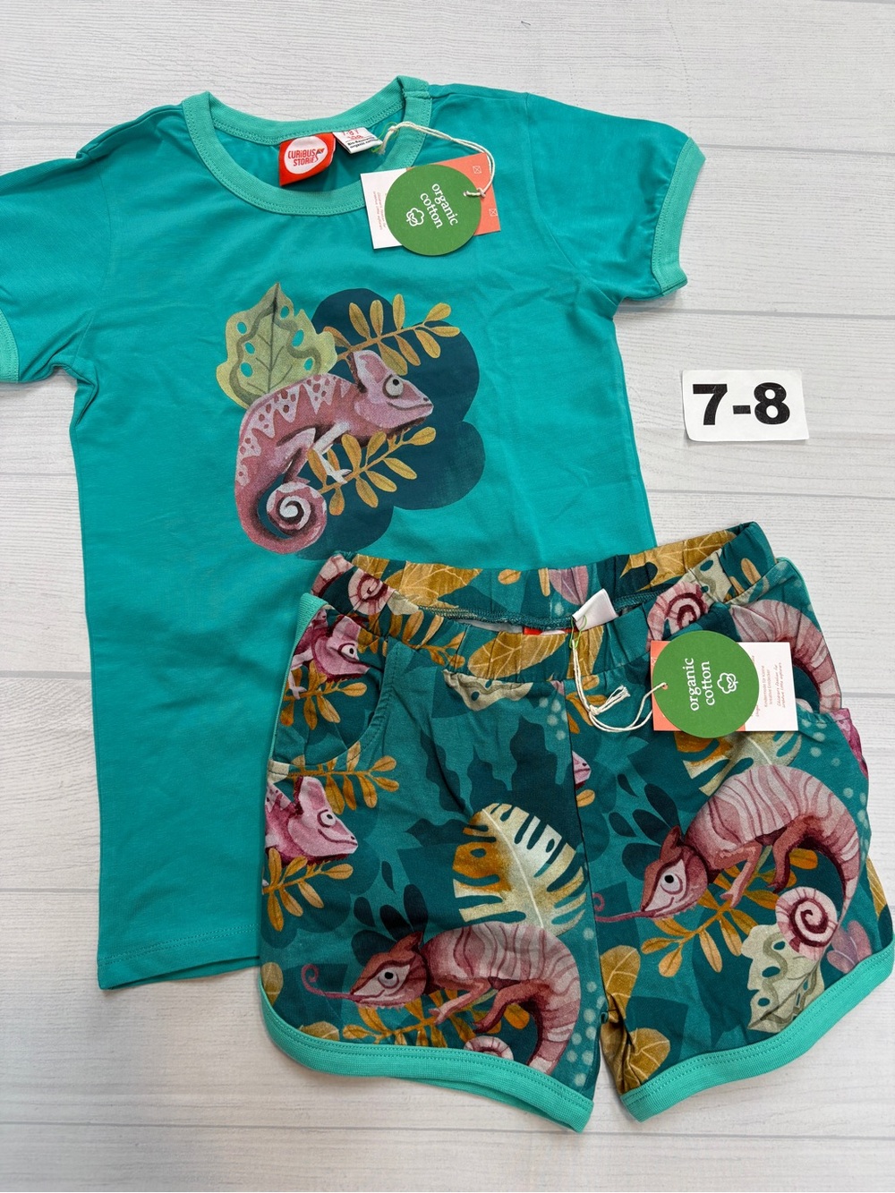 Curious Stories Organic Cotton Kids Teal Chameleon Matching Set